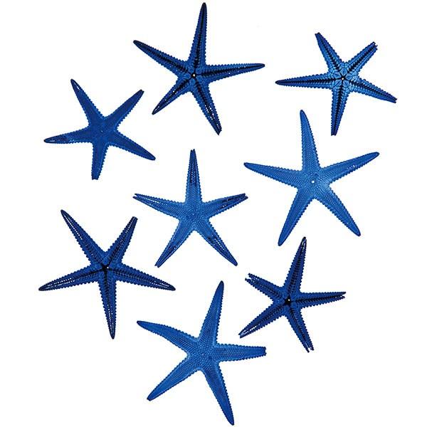 Lk L VF  CeA X^[tBbV u[ 3`6cm 16Zbg