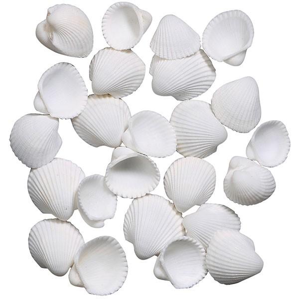 Lk L VF  CeA N[Y 1`1.5cm 2܃Zbg