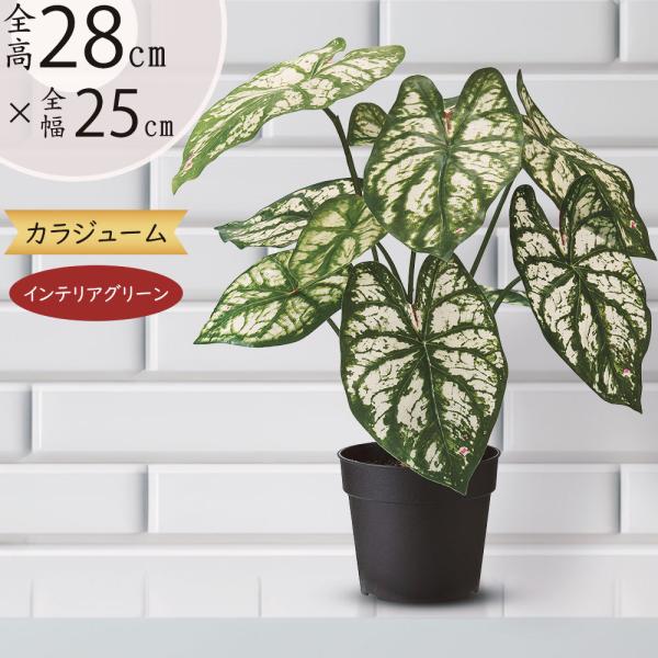 カラジウム カラジューム フェイクグリーン インテリアグリーン 人工観葉植物 造花 人工樹木 インテリア オブジェ 人気 おすすめ リアル おしゃれ印象的なグリーン空間を演出できるインテリアグリーンです。目の届きやすい棚の上やテーブル、窓辺...
