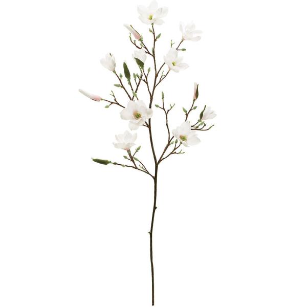 }OmA  ؘ@ N  lC A lHϗtA ^ CeA tFCNO[ t[AWg } a ԍ G  152cm