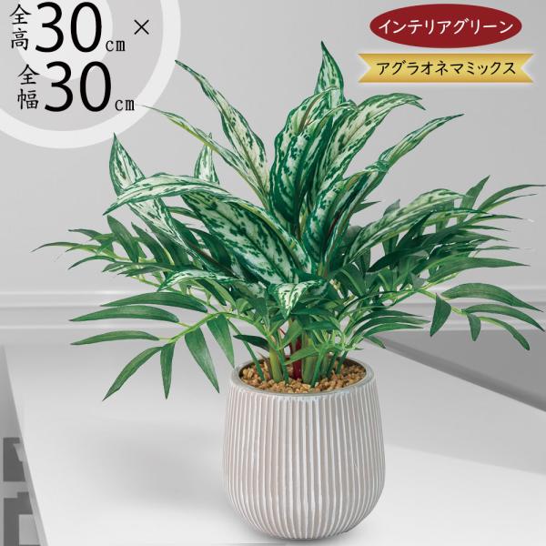 アグラオネマ インテリアグリーン おしゃれ 人気 フェイクグリーン リアル 人工観葉植物 造花 アートプランツ 樹木 インテリア オブジェ ギフト ミックス 30cm