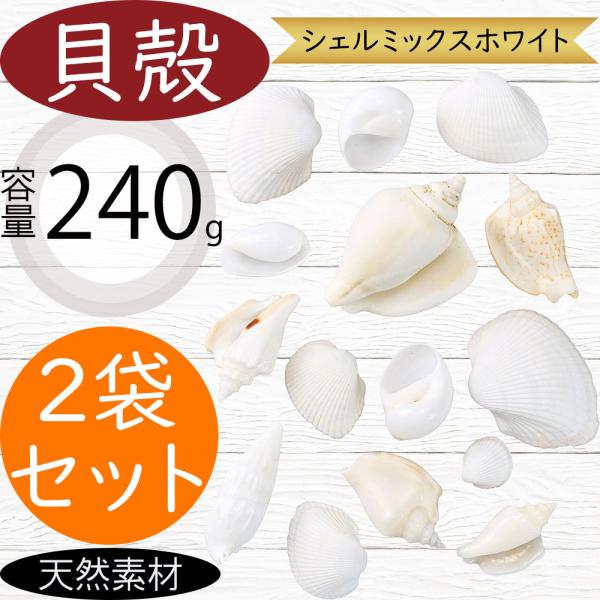 貝殻 貝がら シェル おしゃれ 人気 天然素材 シェルミックスホワイト 7
