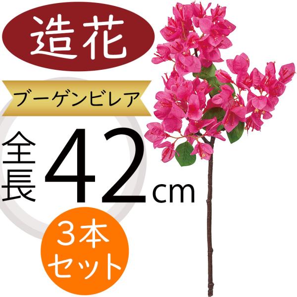 ブーゲンビレア　ブーゲンビリア　苗　花木　観葉植物　XL ブーゲンビレア ブーゲンビリア 苗 花木 観葉植物 XL - メルカリ