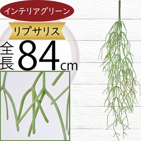 インテリアグリーン 大型 おしゃれ 多肉植物 リプサリス 造花 フェイク