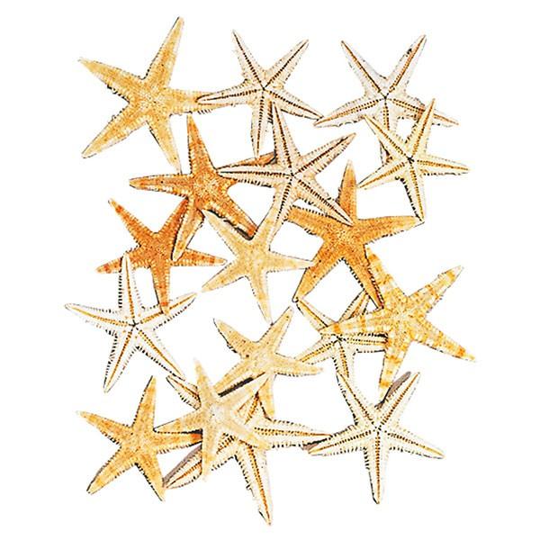 Lk L VF  CeA X^[tBbV 3`6cm 40Zbg