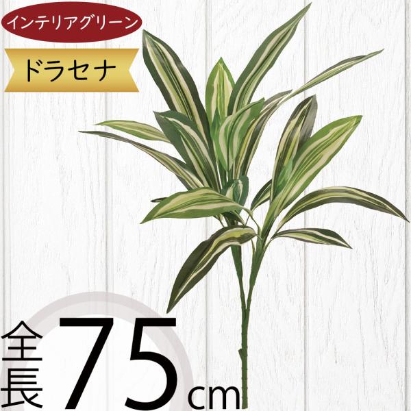 ドラセナ 全長75cm 造花 フェイクグリーン インテリアグリーン 人工観葉植物 Kd Fg342 人工観葉植物と造花の通販ケイシン 通販 Yahoo ショッピング