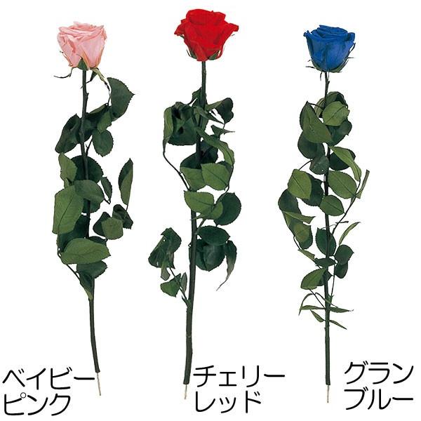 プリザーブドフラワー スタンダードローズ ステム付 全長40cm バラ 薔薇 ばら 天然素材 プリザーブド加工 透明プラケース付 ギフト 贈り物 Kd Fl12 人工観葉植物と造花の通販ケイシン 通販 Yahoo ショッピング