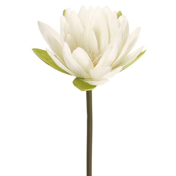 好評 造花 ウォーターリリー 全長52cm 3本セット スイレン 睡蓮 羊草 水生植物 人工観葉植物 花材 アレンジ Buyee Buyee Japanese Proxy Service Buy From Japan Bot Online