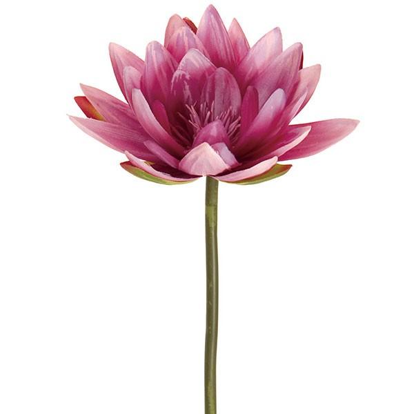 好評 造花 ウォーターリリー 全長52cm 3本セット スイレン 睡蓮 羊草 水生植物 人工観葉植物 花材 アレンジ Buyee Buyee Japanese Proxy Service Buy From Japan Bot Online