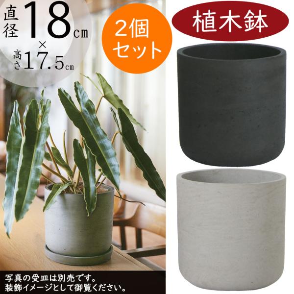 植木鉢 おしゃれ プランター 観葉植物 カッセル ユーポット 6号 2個セット :ks-402-05e:インテリアグリーンと植木鉢の通信販売 通販  