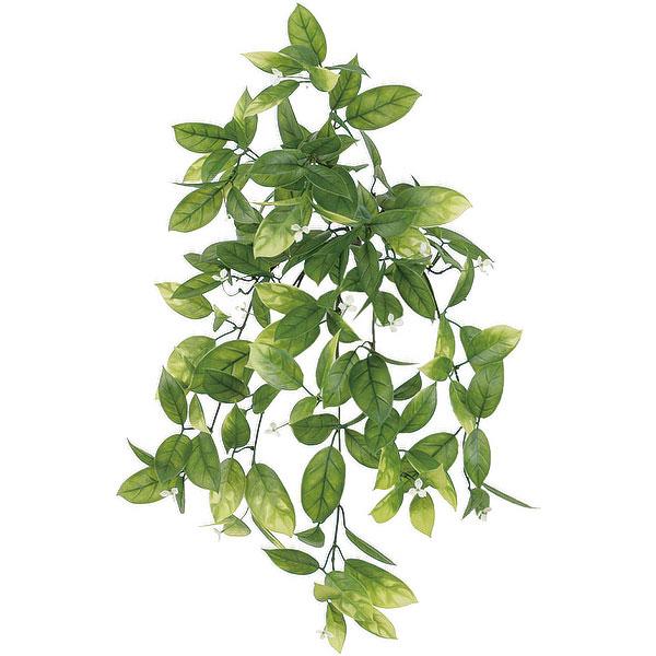 屋外対応 ワンダリングジュー 全長60cm フェイクグリーン 人工観葉植物 造花 テラス お庭 バルコニー おしゃれ Kw Bp1452 人工 観葉植物と造花の通販ケイシン 通販 Yahoo ショッピング