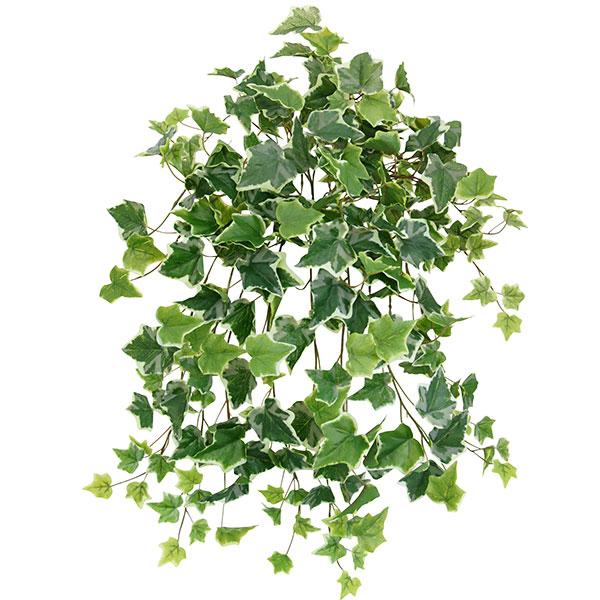 屋外対応 アイビー 全長60cm 2本セット フェイクグリーン 人工観葉植物 造花 おしゃれ テラス 庭 バルコニー Kw Bp1532 人工観葉植物と造花の通販ケイシン 通販 Yahoo ショッピング