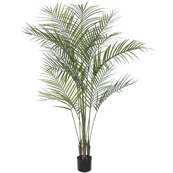 再入荷 屋外対応 アレカヤシ 人工観葉植物 全高1 5m ヤシ類 室内可 人工樹木 造花 インテリアグリーン フェイクグリーン 庭 バルコニー ファサード ベランダ テラス 屋上 最安値に挑戦 Www Hbleisure Com