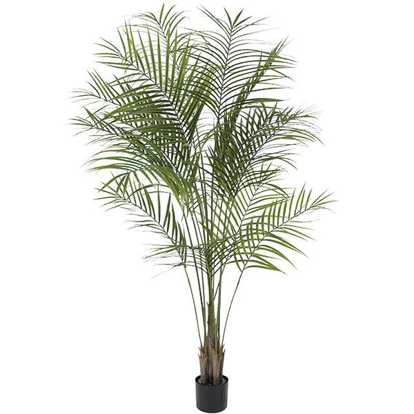屋外対応 アレカヤシ 人工観葉植物 全高1.8m(ヤシ類 室内可 人工樹木 造花 インテリアグリーン フェイクグリーン) :kw20-tp1800-18:人工観葉植物と造花の通販ケイシン - 通販 - Yahoo!ショッピング 屋外対応 アレカヤシ 人工観葉植物 全高1.8m(ヤシ類 室内可 人工樹木 造花 インテリアグリーン フェイクグリーン) :kw20-tp1800-18:人工観葉植物と造花の通販ケイシン - 通販 - Yahoo!ショッピング