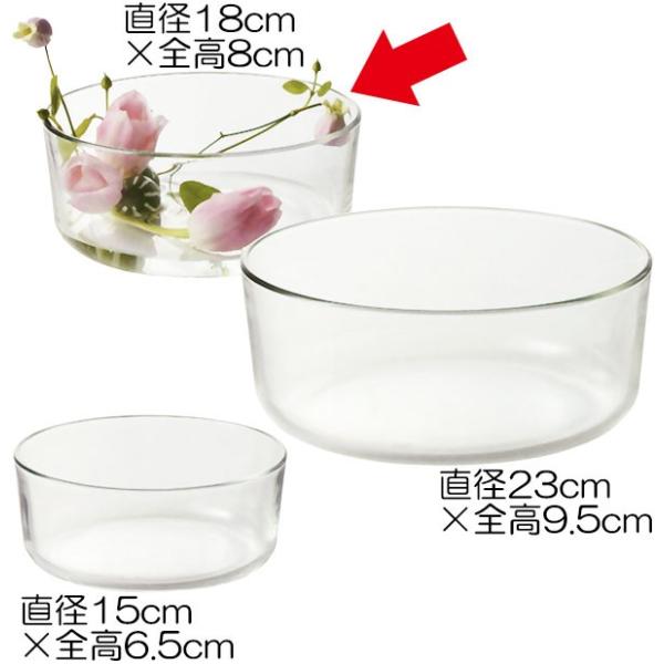 t[x[X  KXԊ lC  ԕr  ^   CeA t[AWg  i Vv Mtg 蕨 8cm×18cm