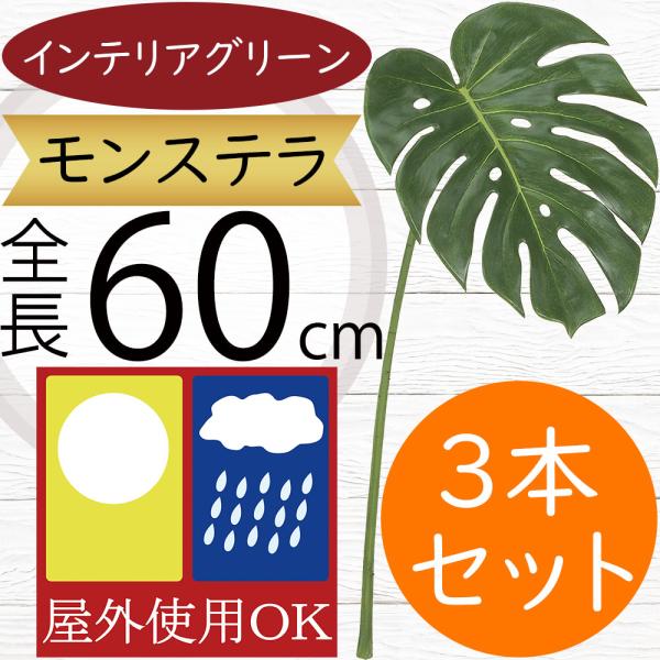 屋外対応 モンステラ 全長60cm 4本セット 造花 フェイクグリーン インテリアグリーン 南国 トロピカル 人工観葉植物 Les 5168 人工観葉植物と造花の通販ケイシン 通販 Yahoo ショッピング