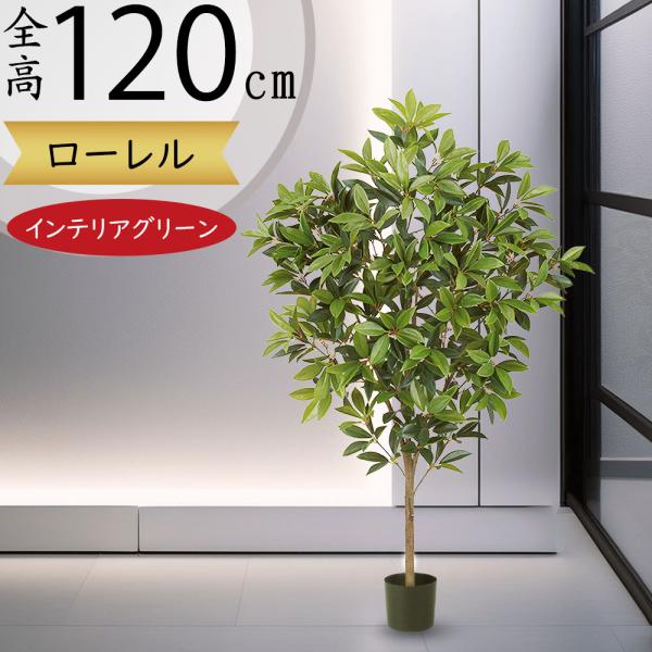 コロンと可愛い植木鉢　フェイクグリーン　トレンドインテリア コロンと可愛い植木鉢 フェイクグリーン トレンドインテリア