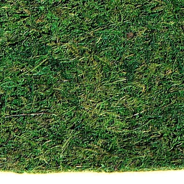 苔 コケ 天然素材 モスマット 口40cm 3枚セット こけ 人工芝 苔シート マット 造花 アレンジメント Buyee Buyee Japanese Proxy Service Buy From Japan Bot Online