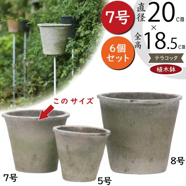 植木鉢 テラコッタ おしゃれ 小型 モスポット 人気 おすすめ