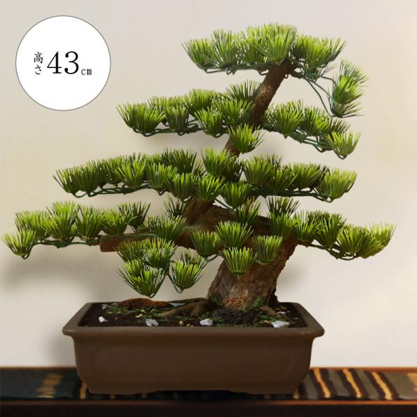 盆栽 全高43cm 寿松 9号 造花 フェイクグリーン 人工 観葉植物 植木 偽物 松盆栽 オブジェ 装飾 和風 式典 祭典 卒業式 イベント Bonsai Nb Koto Nb Koto 人工観葉植物と造花の通販ケイシン 通販 Yahoo ショッピング