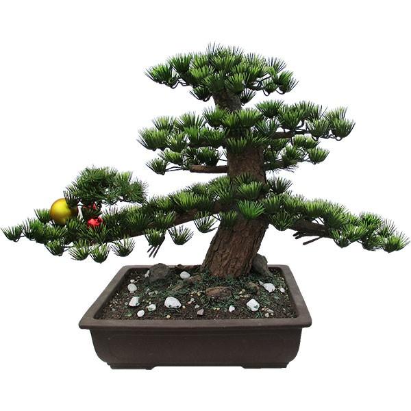 盆栽 全高56cm 龍松 12号 Bonsai 松の盆栽 松 造花 フェイクグリーン ディスプレイ 装飾 和風 式典 祭典 イベント 商売繁盛祈願 龍 商品番号 Nb Ryu 12 Nb Ryu 12 人工観葉植物と造花の通販ケイシン 通販 Yahoo ショッピング