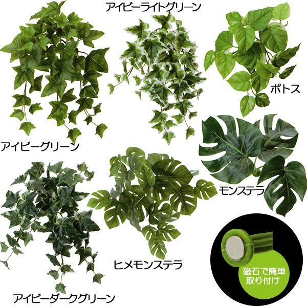 マグネット付き プランツ 3個セット 造花 フェイクグリーン インテリアグリーン 人工観葉植物 おしゃれ Pgla 1252 3 0 4 5 人工観葉植物と造花の通販ケイシン 通販 Yahoo ショッピング
