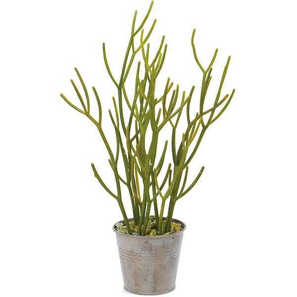 ミルクブッシュ 人工観葉植物 全高44cm ミルクサンゴポットm グリーン 多肉植物 フェイクグリーン 人工樹木 造花 Pgla 1359 人工観葉 植物と造花の通販ケイシン 通販 Yahoo ショッピング