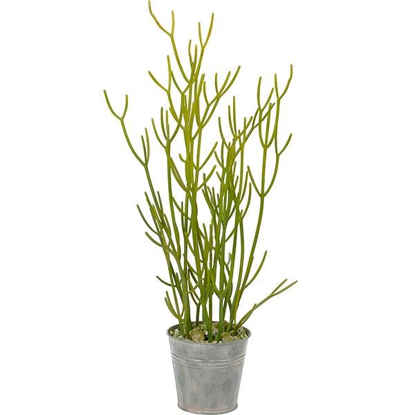 ミルクブッシュ 人工観葉植物 全高60cm ミルクサンゴポットl グリーン 多肉植物 フェイクグリーン 人工樹木 造花 Pgla 1360 人工観葉 植物と造花の通販ケイシン 通販 Yahoo ショッピング