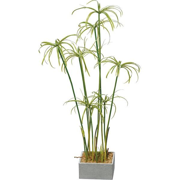 シペラス 全高73cm 人工観葉植物 パピルス カヤツリグサ 人工樹木 造花 インテリアグリーン フェイクグリーン Pgla 1363 人工観葉植物と造花の通販ケイシン 通販 Yahoo ショッピング