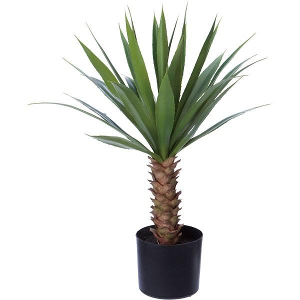 アガベ 人工観葉植物 全高80cm ロングステム リュウゼツラン 多肉植物 人工樹木 造花 フェイクグリーン インテリアグリーン Pglp 1472 人工観葉植物と造花の通販ケイシン 通販 Yahoo ショッピング