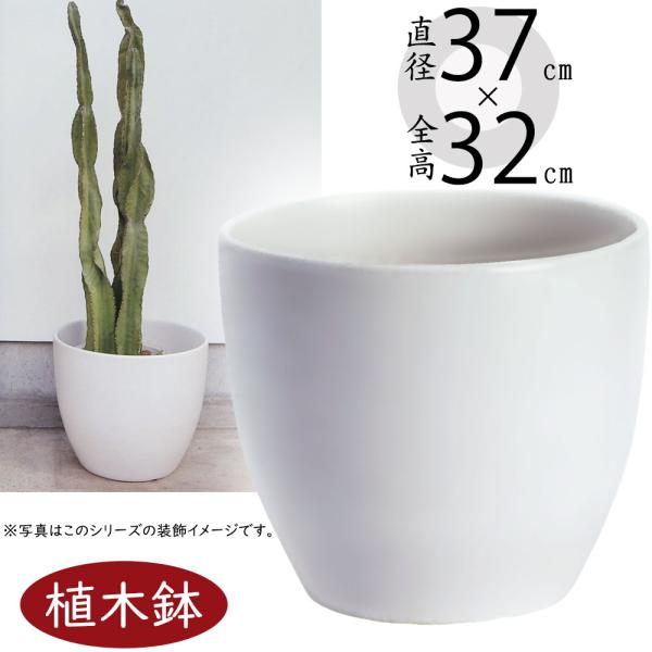 12号 鉢の人気商品 通販 価格比較 価格 Com