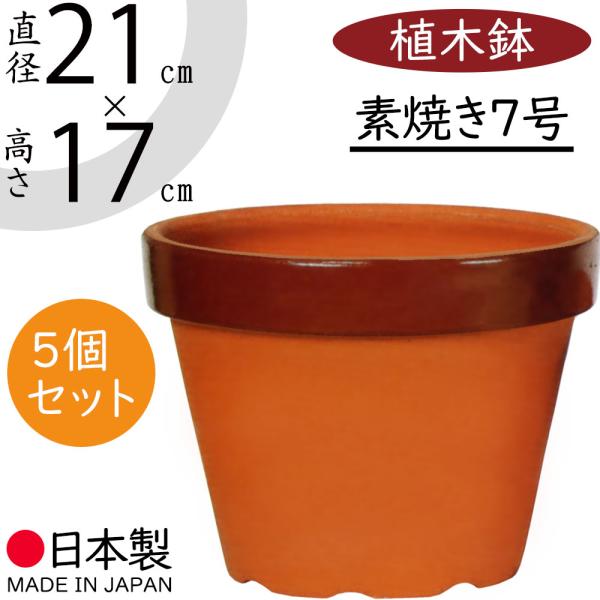 鉢 7号 素焼き鉢の人気商品・通販・価格比較 - 価格.com