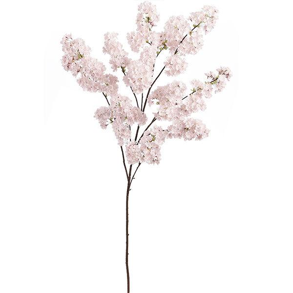   TN  ^  lC A A[eBtBVt[ lHϗtA ԍ CeAO[ t[AWg Ԍ t 138cm