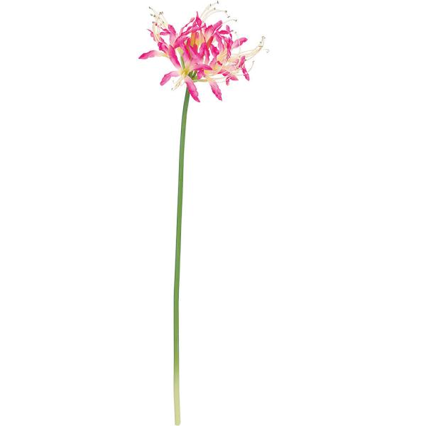 ネリネ 造花 全長78cm 2本セット 彼岸花 ダイヤモンドリリー アーティフィシャルフラワー 人工観葉植物 S21a A337 人工観葉植物と造花の通販ケイシン 通販 Yahoo ショッピング