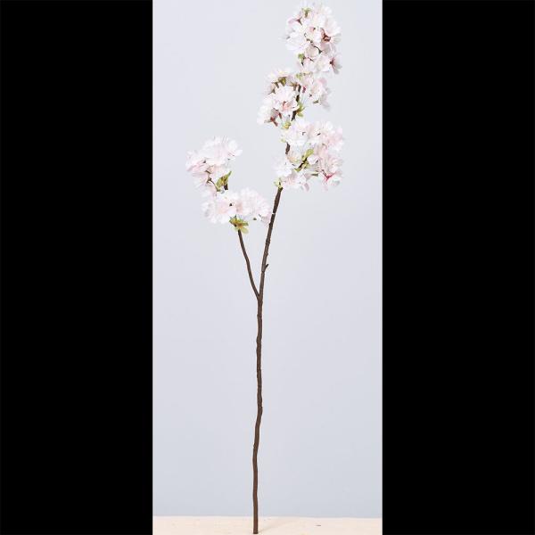   TN   lC A A[eBtBVt[ lHϗt ԍ CeAO[ t[AWg Ԍ t 70cm 2{Zbg