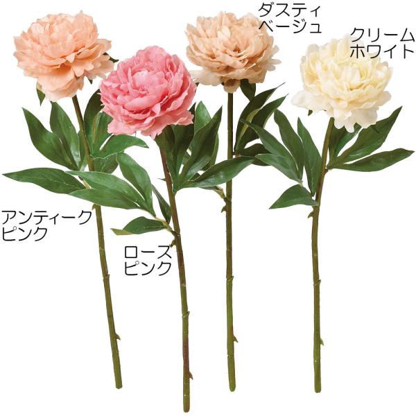 sIj[  䉖  lHϗtA 35cm 5{Zbg