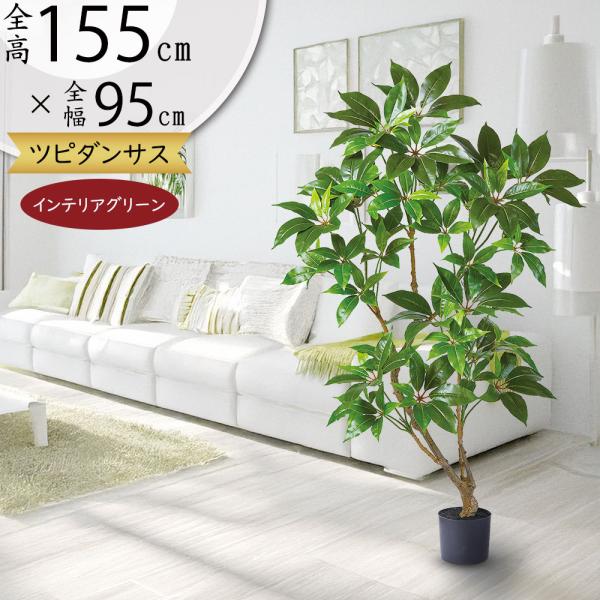 観葉植物 ツピダンサス おしゃれ インテリアグリーン 人工観葉植物