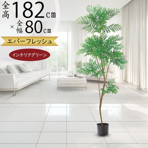 keishin_s25a-a51134