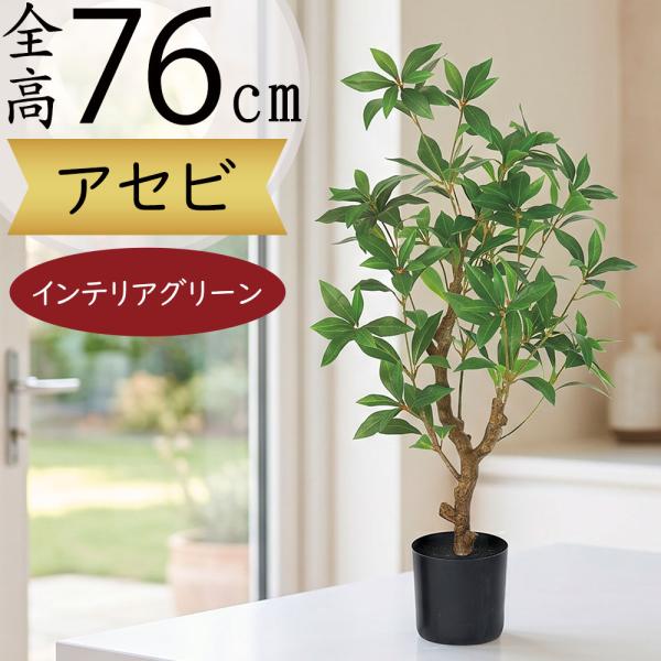 keishin_s26a-a51158