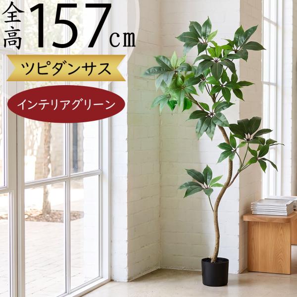 フェイク♧グリーン☘観葉植物♪ 高さ約85cm keishin_s26a-a51167