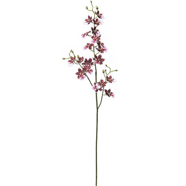 造花 オンシジューム バーガンディクリーム 全長cm 2本セット オンシジウム ラン 人工観葉植物 花材 アレンジ Sa 335 人工観葉植物と造花の通販ケイシン 通販 Yahoo ショッピング