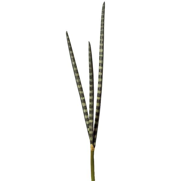 サンスベリア スタッキー 全長75cm 2本セット サンセベリア フェイクグリーン インテリアグリーン 人工観葉植物 造花 Sa 2745 人工観葉植物と造花の通販ケイシン 通販 Yahoo ショッピング