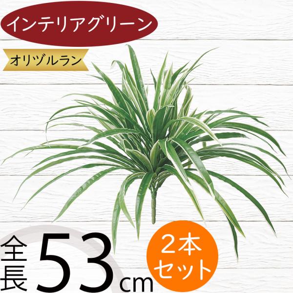 人工観葉植物 オリヅルラン ブッシュ 全長53cm 2本セット オリズルラン 人工樹木 造花 リーフ インテリアグリーン フェイクグリーン アレンジ Sa 2969 人工観葉植物と造花の通販ケイシン 通販 Yahoo ショッピング