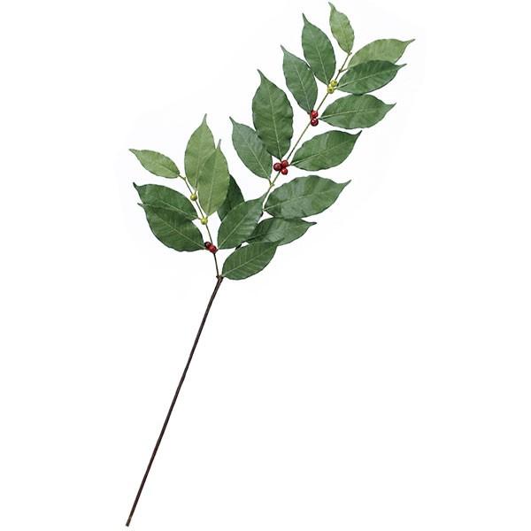 人工観葉植物 コーヒー リーフ 全長192cm 3本セット 実付き コーヒーノキ アラビアコーヒー 造花 花材 人工樹木 アレンジ Sa 7776 人工観葉植物と造花の通販ケイシン 通販 Yahoo ショッピング