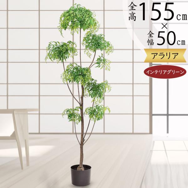 アラレア 人工観葉植物 全高1 55m アラリア ディジゴセカ 人工樹木 造花 インテリアグリーン フェイクグリーン Sa A 人工 観葉植物と造花の通販ケイシン 通販 Yahoo ショッピング