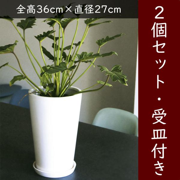keishin_sg-27027