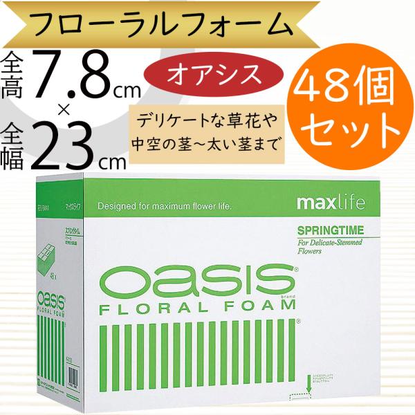 スプリングタイム 黄緑箱 全高8cm 幅23cm 奥行11cm 48個セット 生け花 生花 花材 資材 土台 ベース オアシス 吸水スポンジ 吸水フォーム Sj1000 人工観葉植物と造花の通販ケイシン 通販 Yahoo ショッピング