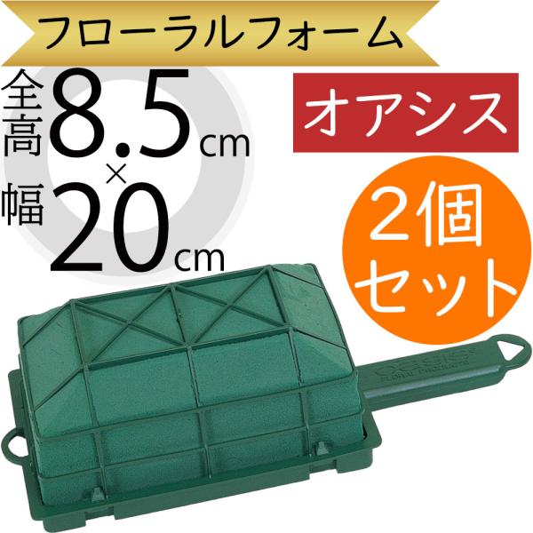 フローレット大 全高8 5cm 幅cm 奥行13cm 2個セット 生け花 生花 花材 資材 土台 ベース オアシス 吸水スポンジ 吸水フォーム アレンジメント Sj3034 人工観葉植物と造花の通販ケイシン 通販 Yahoo ショッピング