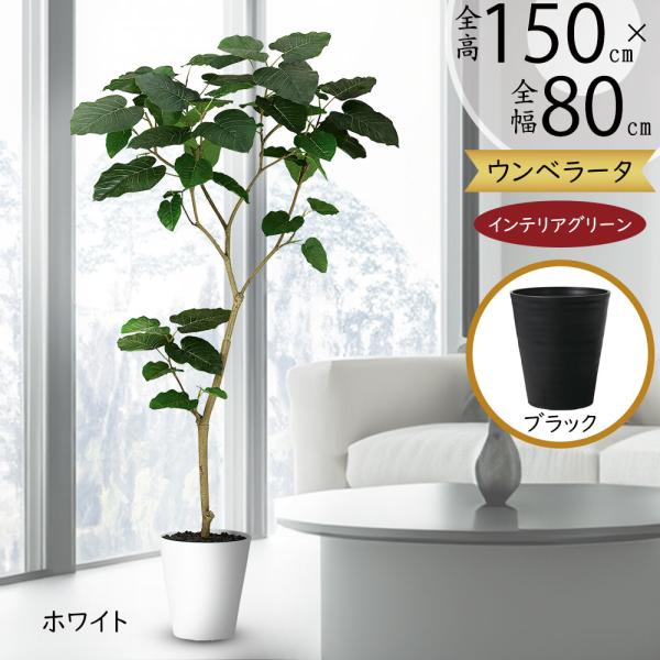 ウンベラータ おしゃれ 観葉植物 インテリアグリーン フェイク