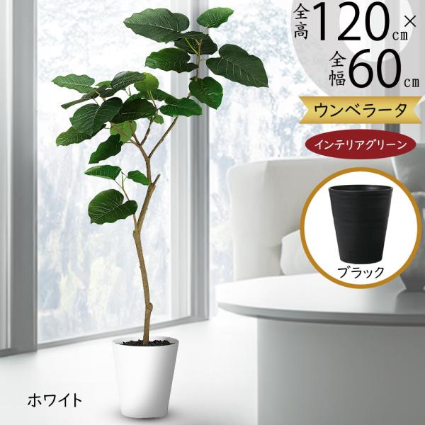 ウンベラータ おしゃれ 観葉植物 インテリアグリーン フェイクグリーン